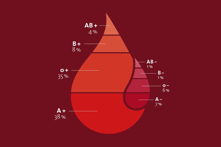 Ein segmentierter Blutstropfen mit der prozentualen Verteilung der Blutgruppen. 