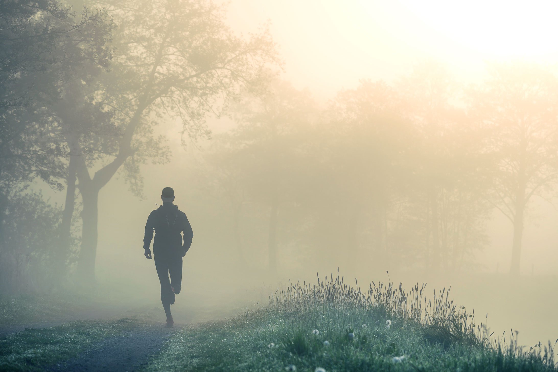 Ein Mann rennt bei Nebel durch einen lichten Laubwald.